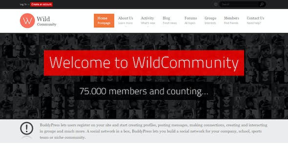WildCommunity - BuddyPress Community Theme